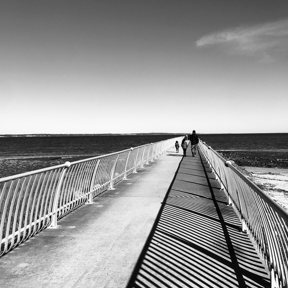 Meet your Posher, Rosa - Picture 1 of 1